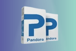 Pandora Tool {Digital } Login Rent 48 hours